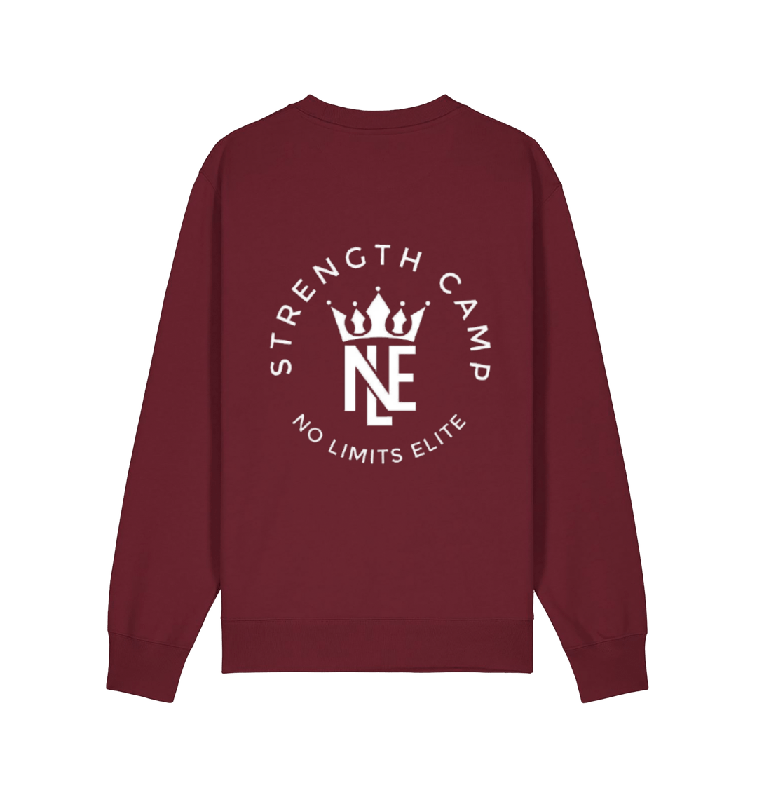 Burgundy Printed Sweater